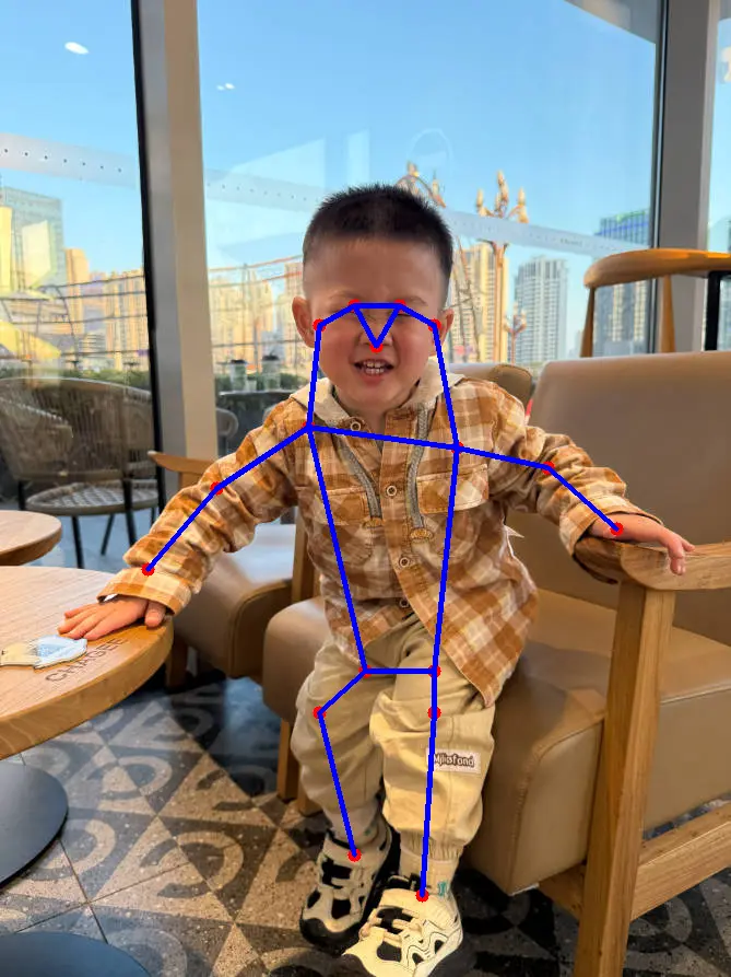 HRNet 人体姿态估计结果