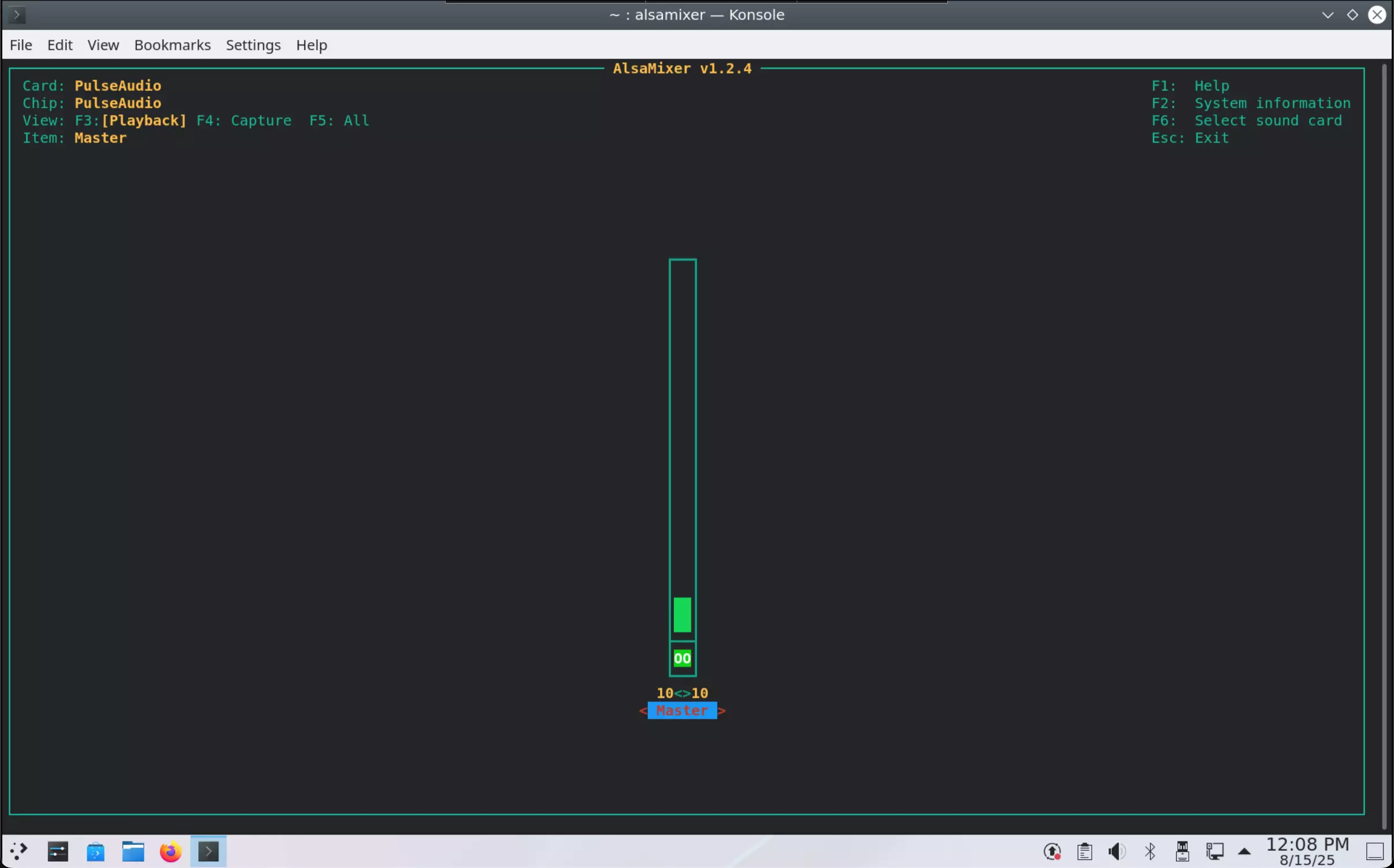 Audio settings in alsamixer