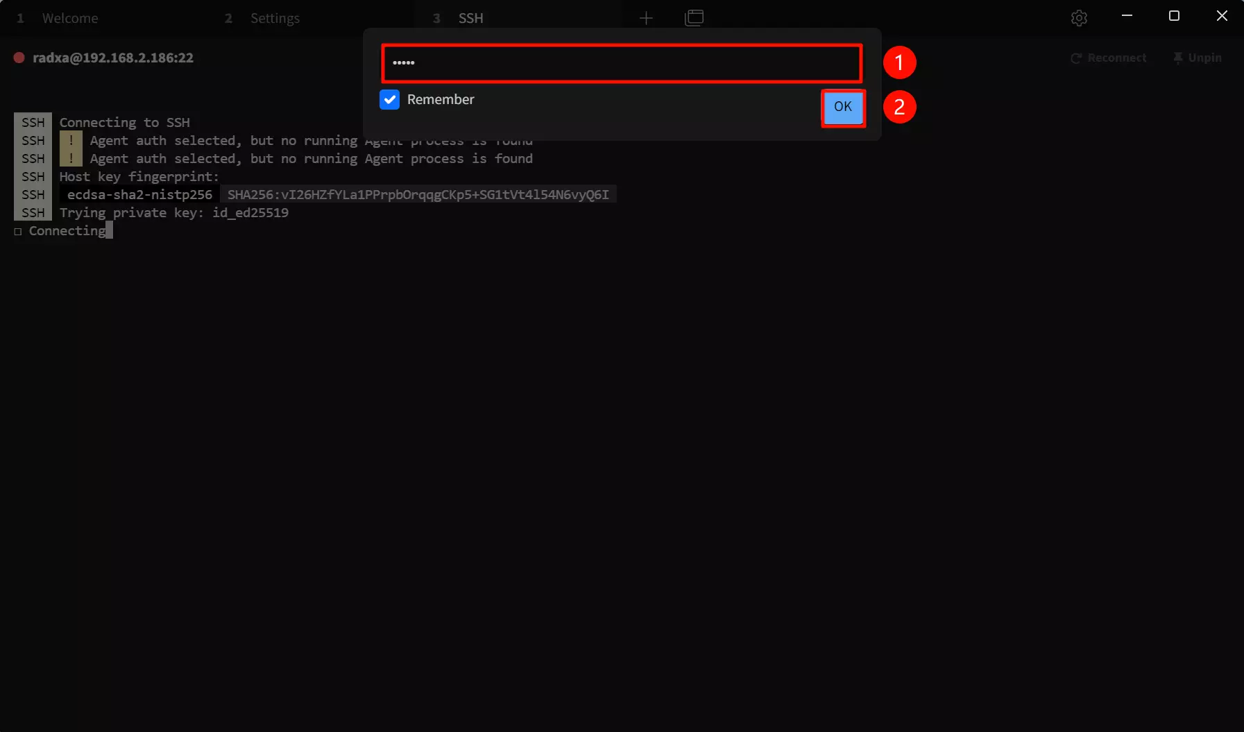 SSH Password Input