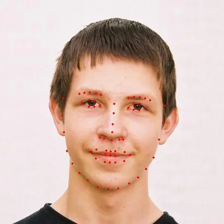 Facial-Landmark-Detection 示例 | Radxa Docs